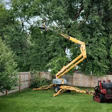 Best Tree Risk Assessment  in Pomona, NJ